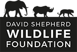 David Shepard Wildlife